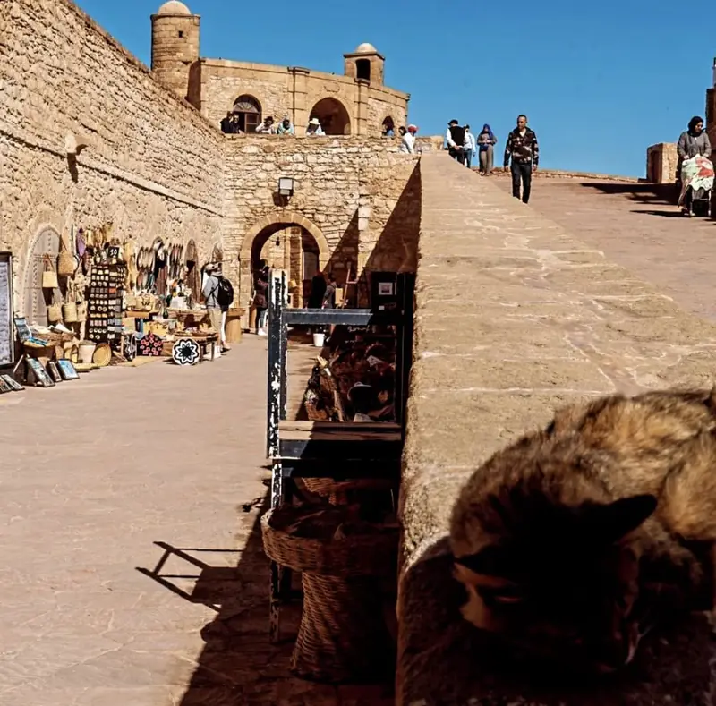 Guest at the Essaouira ramparts overlooking the Atlantic Ocean