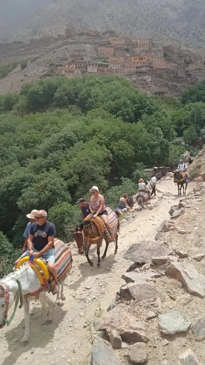 Mule trek through an Atlas Mountains valley toward a Berber village